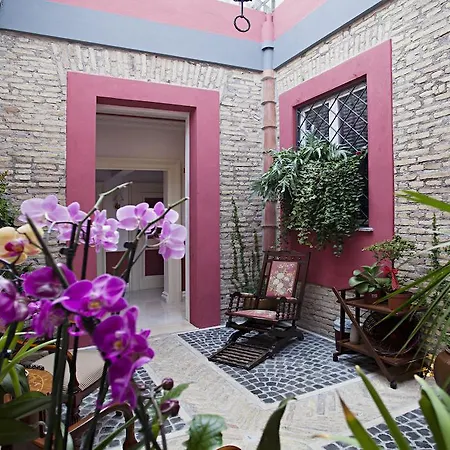 Navona Queen Rooftop Gasthuis 4*